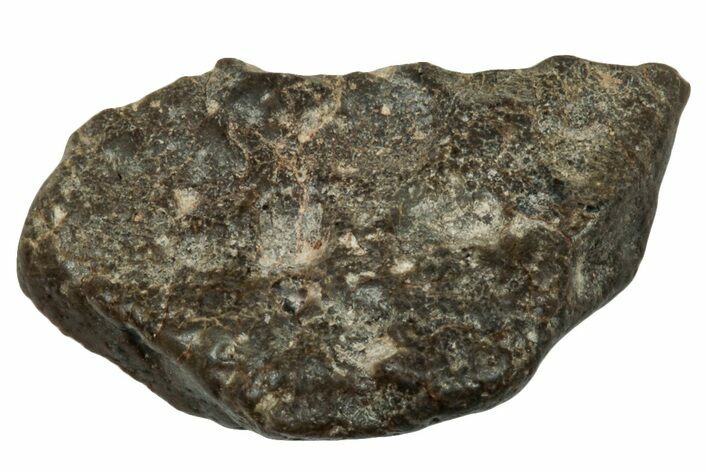Lunar Meteorite ( g) Section - Touat #303604